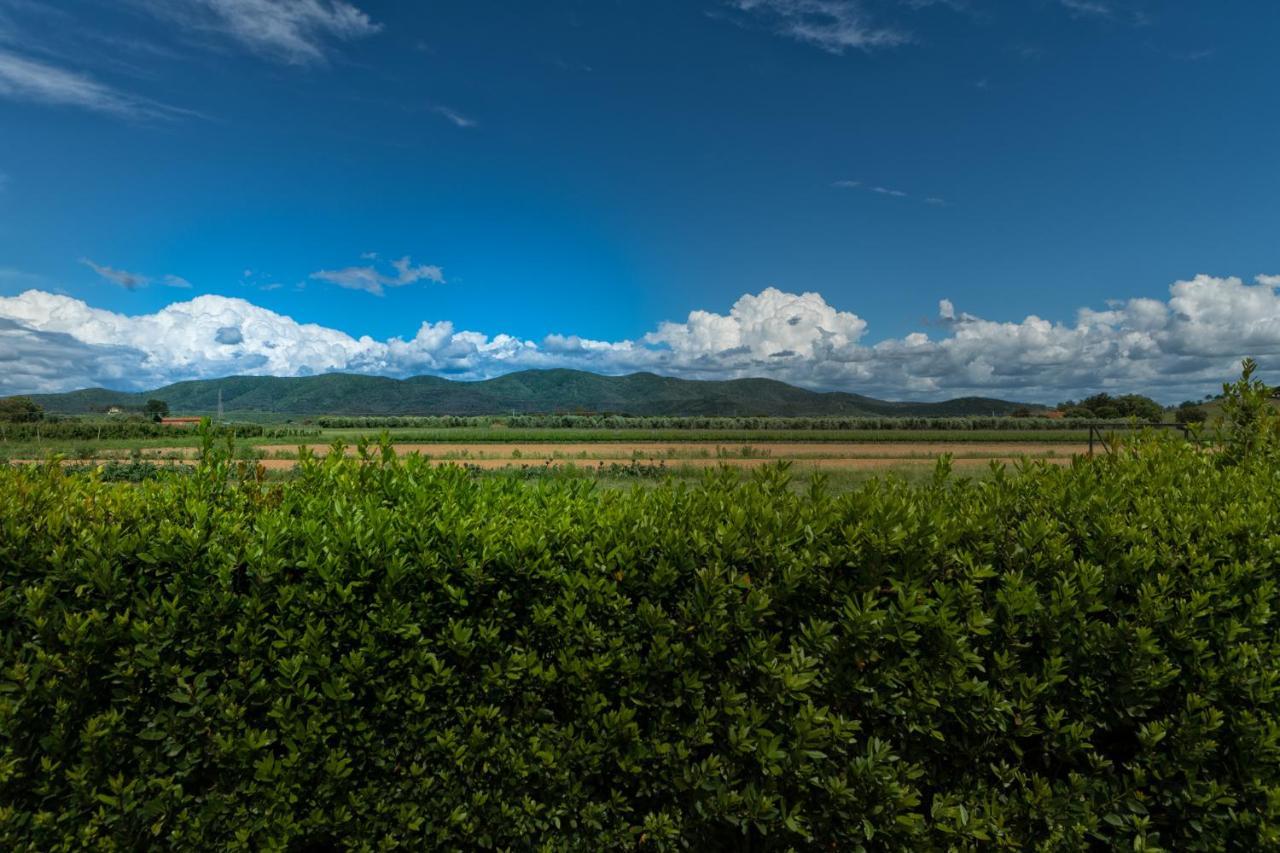 Agriturismo Lucerna Del Lago Prile Кастильоне дела Пеская Екстериор снимка