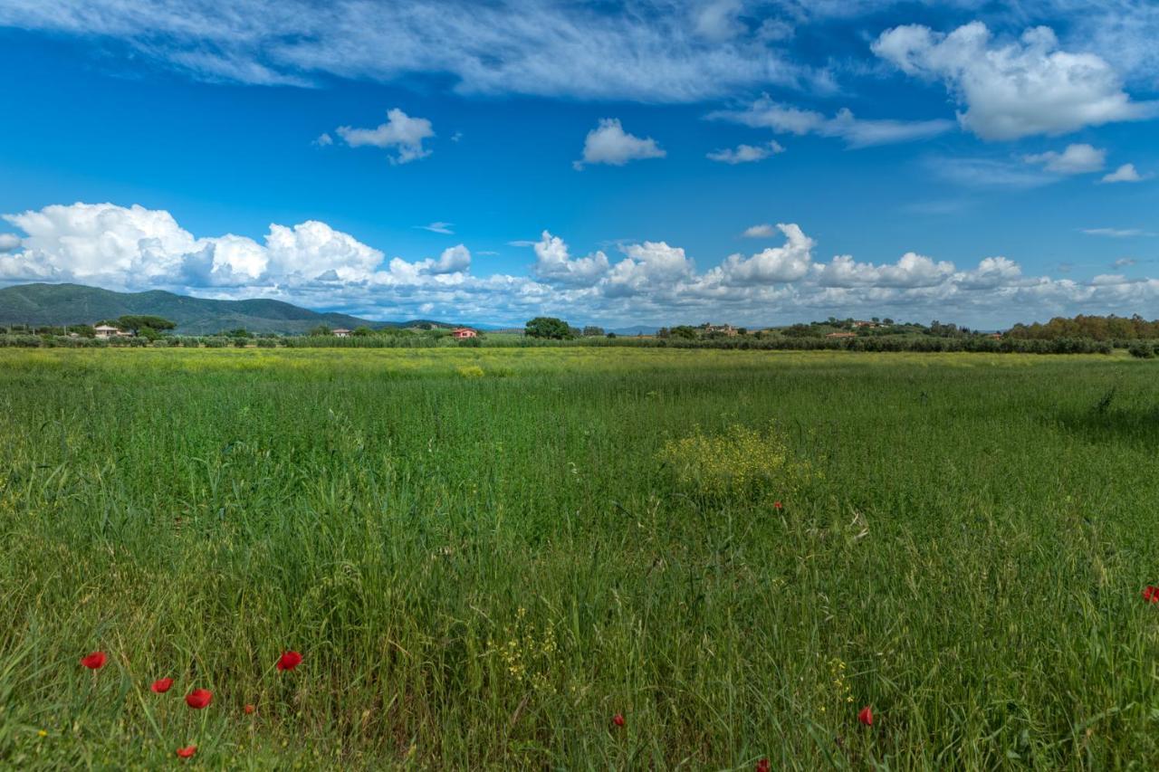 Agriturismo Lucerna Del Lago Prile Кастильоне дела Пеская Екстериор снимка